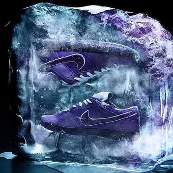Can the Concepts x Nike SB 