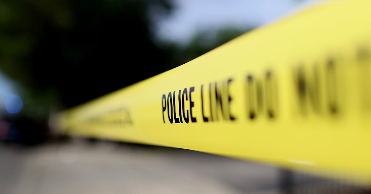 Florida Mother Dies After Accidental Shooting by Toddler During Zoom Call
