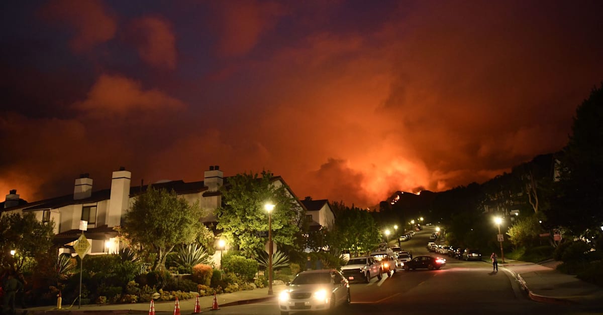 California Arson Suspect Arrested in Connection With Palisades Fire