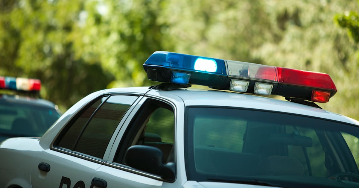2 Florida Women Arrested for Livestreaming Traffic Stop While ...