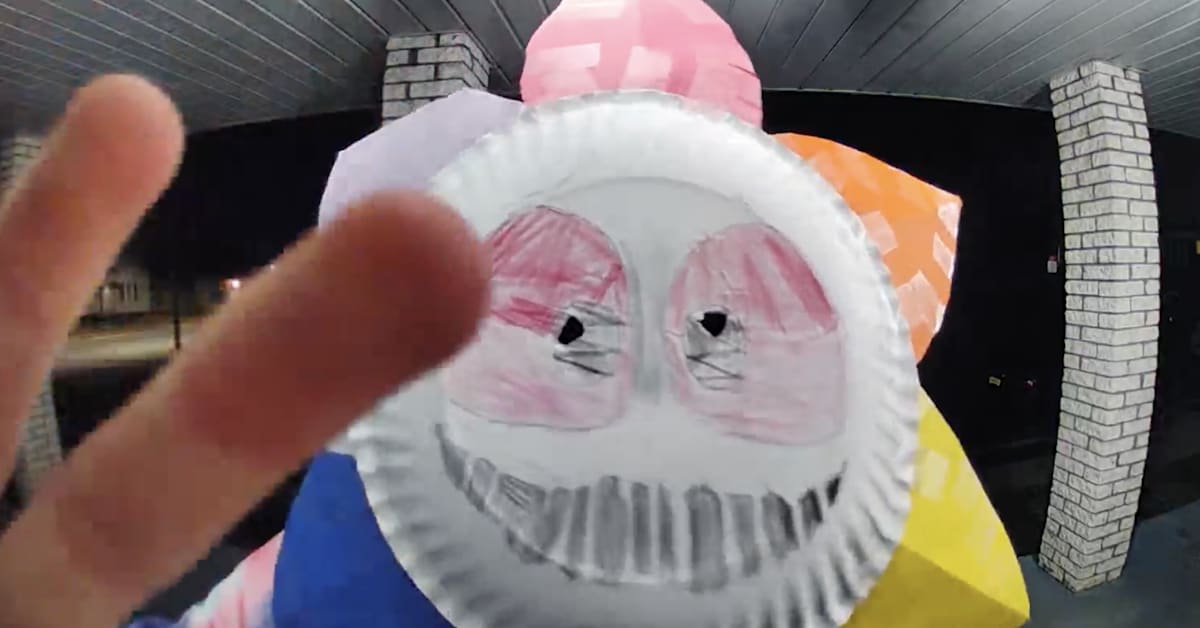 Video Shows Person in Paper Plate Mask Leaving Empty Box on Porch ...