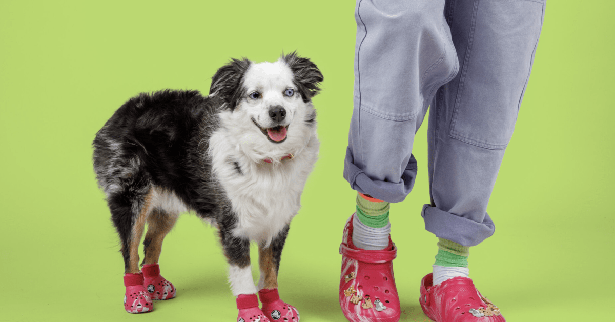 Crocs Made Boots for Dogs