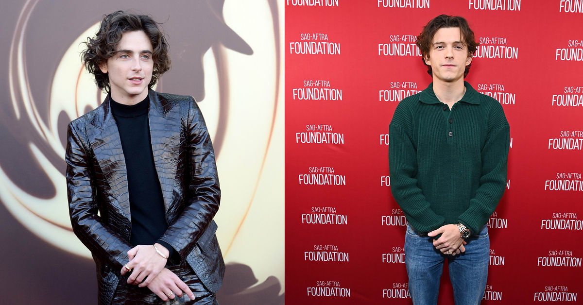 Timothée Chalamet Bestows Title of 'Ultimate Rizzmaster' on Tom Holland