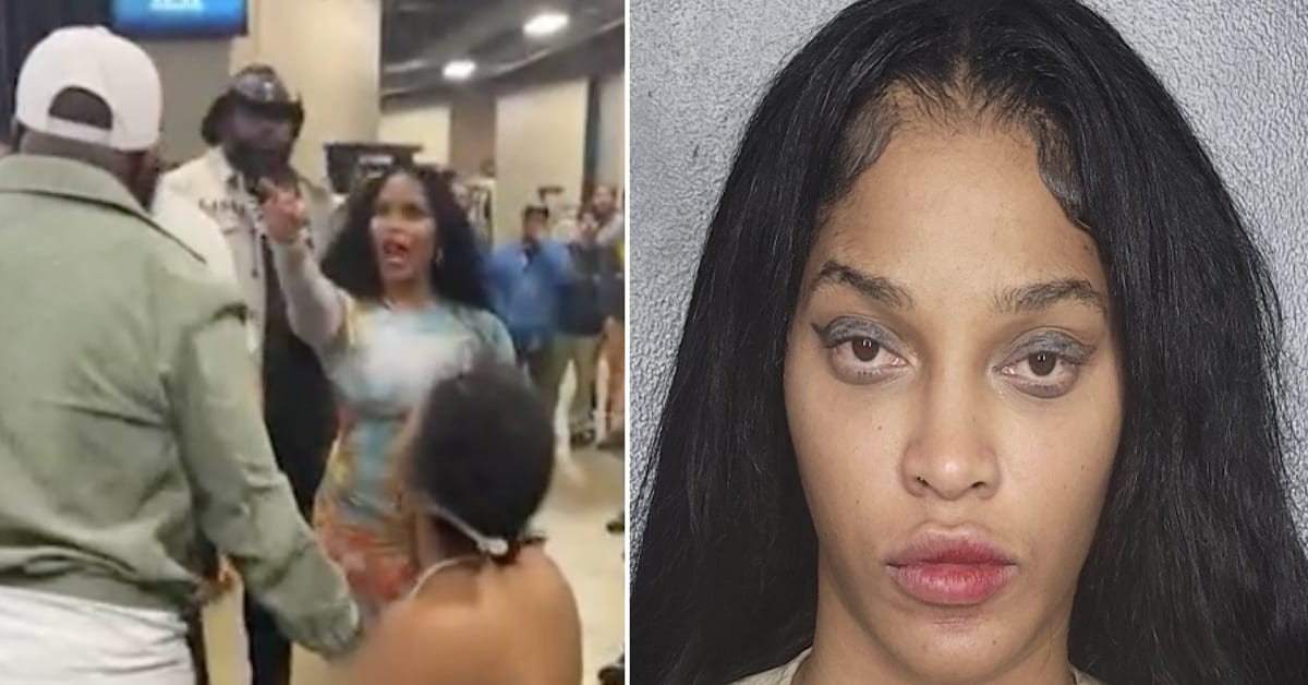 Video Shows Joseline Hernandez Punching Big Lex at Floyd Mayweather ...