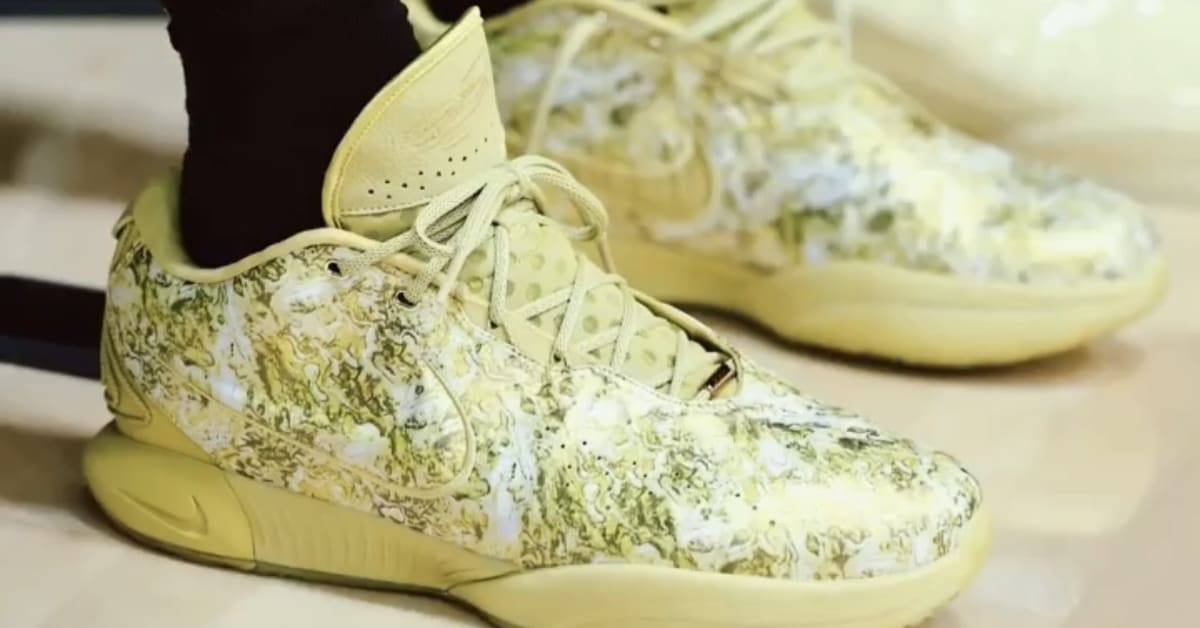 Lebron new shoes cheap