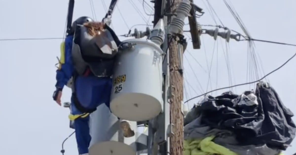 California Skydiver Rescued by Firefighters After Getting...