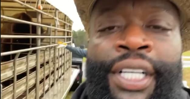 Rick Ross Was Gifted Two Buffaloes for His Georgia Ranch