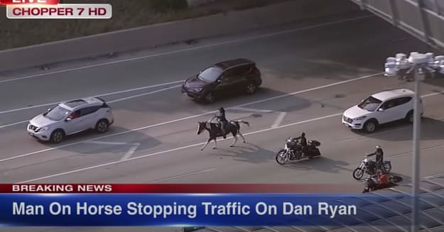 Chicago's 'Dreadhead Cowboy' Arrested After Riding Horse on Expressway ...
