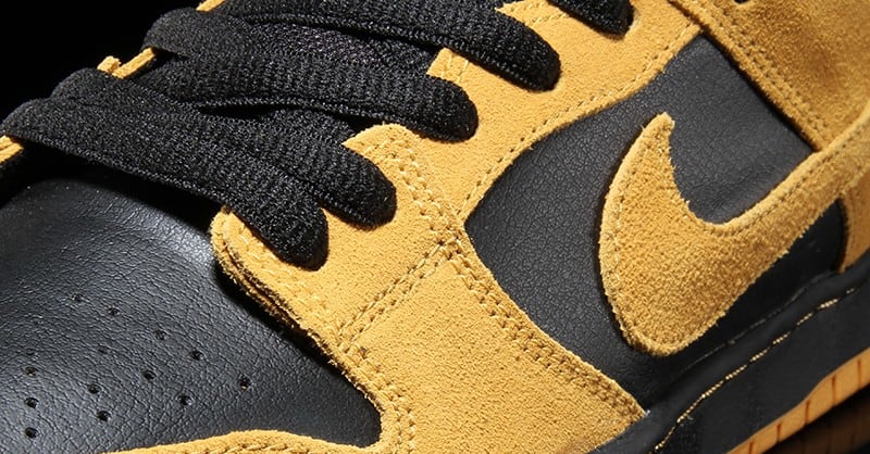 Nike SB Dunk Lows for Iowa Fans