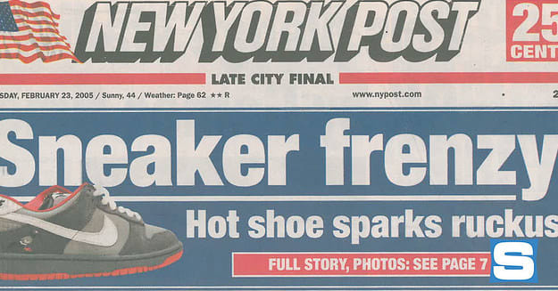 Nike pigeon dunk riot clearance