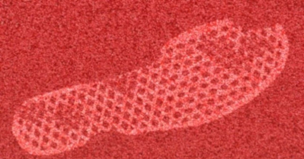 Embarrassing Sneaker Stories Vol. 1