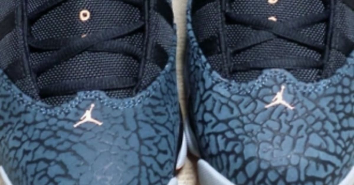 eastbay jordan 6 rings