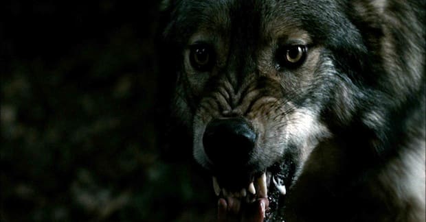 Universal Pictures Starts Filming An 
