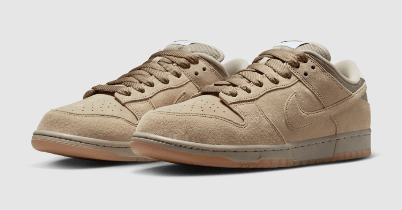 Nike dunk pro b cheap