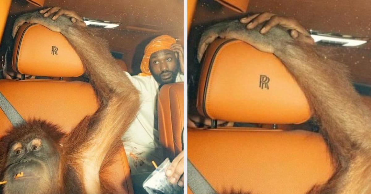 Photo of Meek Mill Holding Hands With Monkey and Looking Confused Has ...