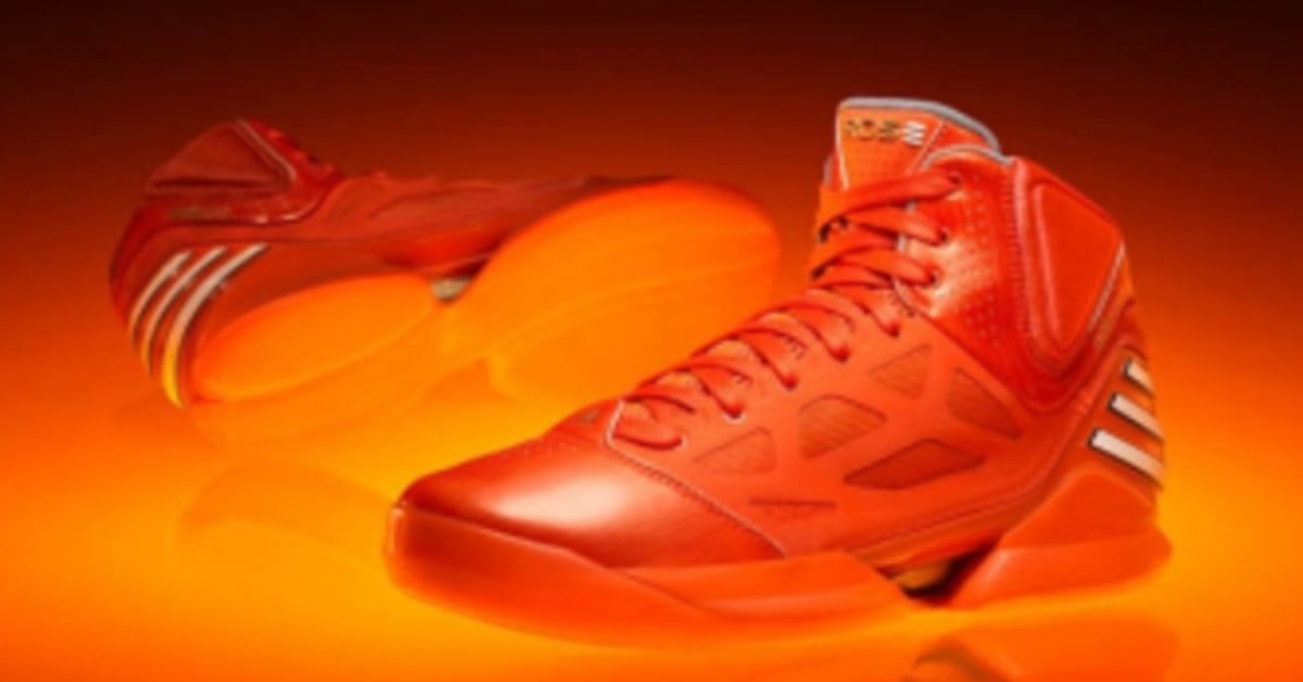 D rose 2.5 shoes top