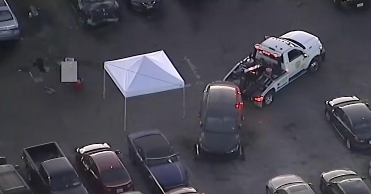 Human Remains Found in Impounded Tesla's Trunk, Car Reportedly ...