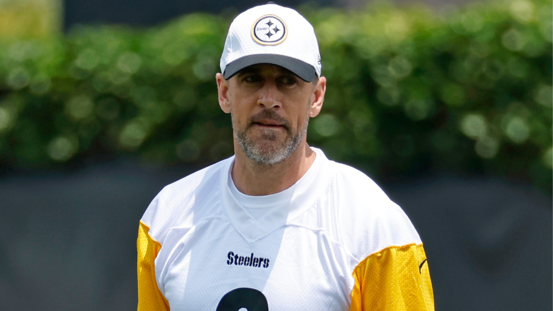 A man in a Steelers cap and jersey, standing outdoors with greenery in the background.