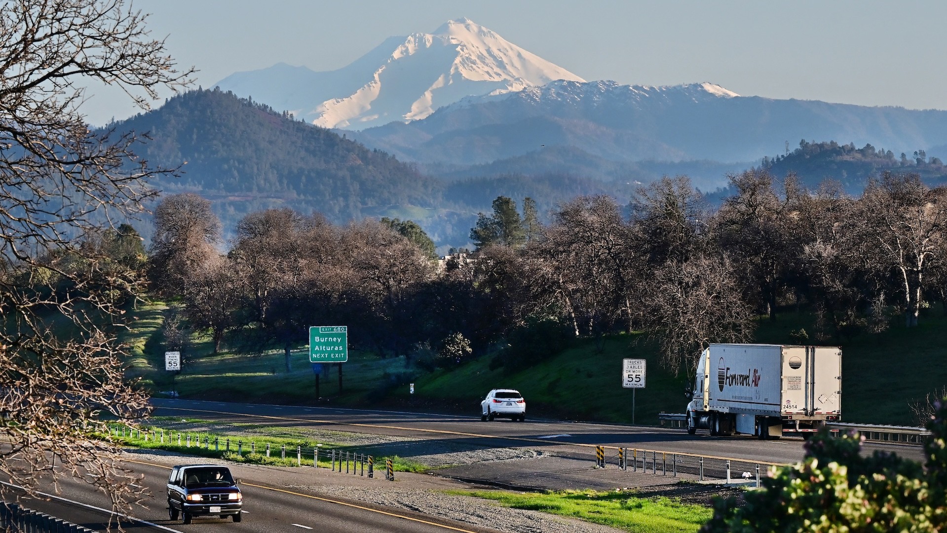 Mt. Shasta