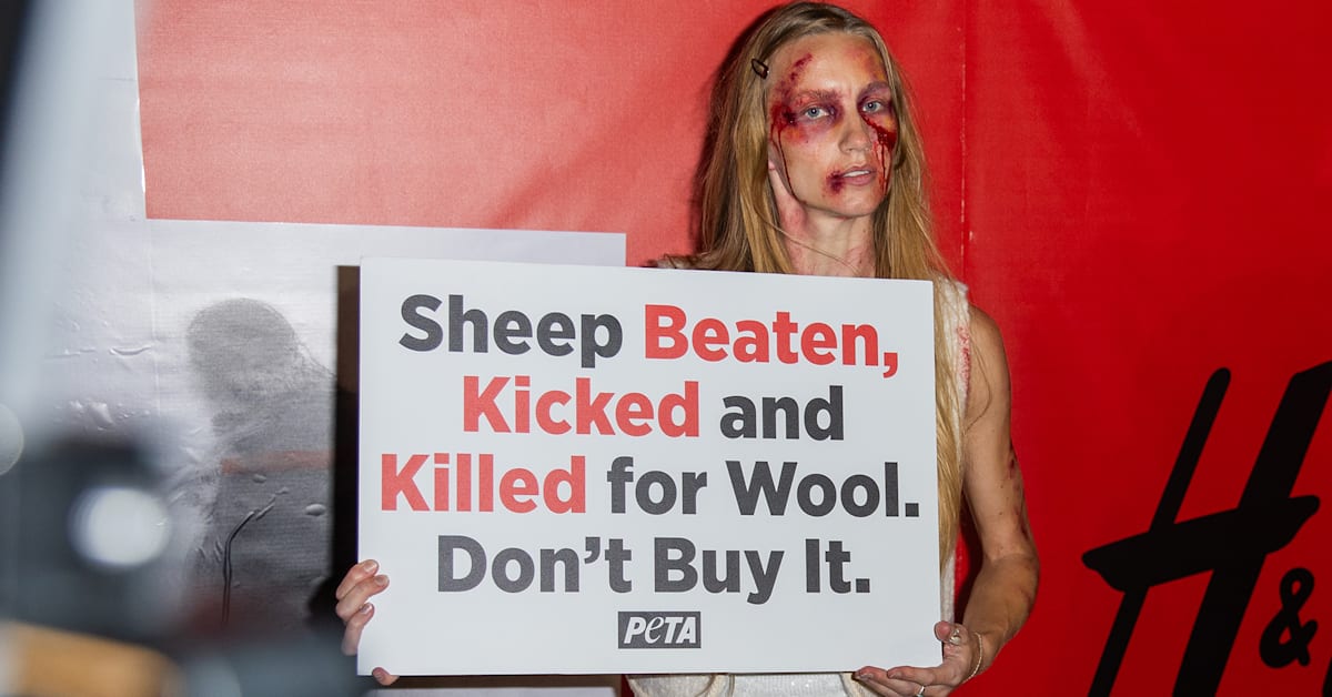Modelesque PETA Protester Storms H&M Fashion Week Show to Protest Brand's Use of Wool