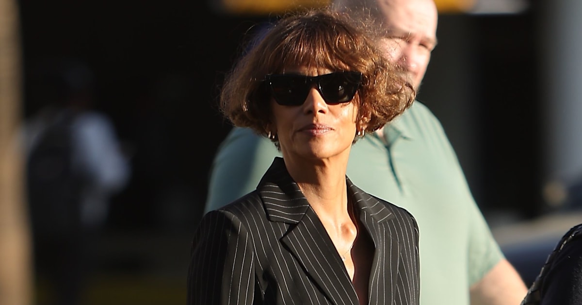 Halle Berry's Custody War Drags into Second Week as Ex Gets Restraining ...