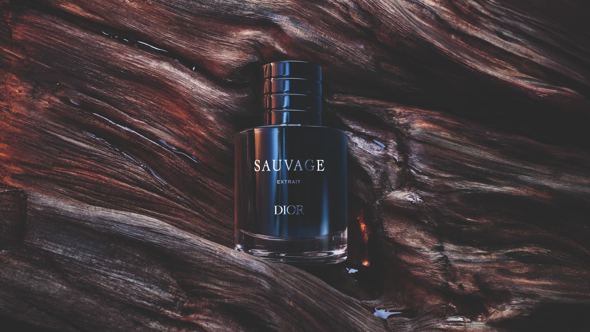 Dior's New Sauvage Extrait Fragrance: Everything You Need to Know