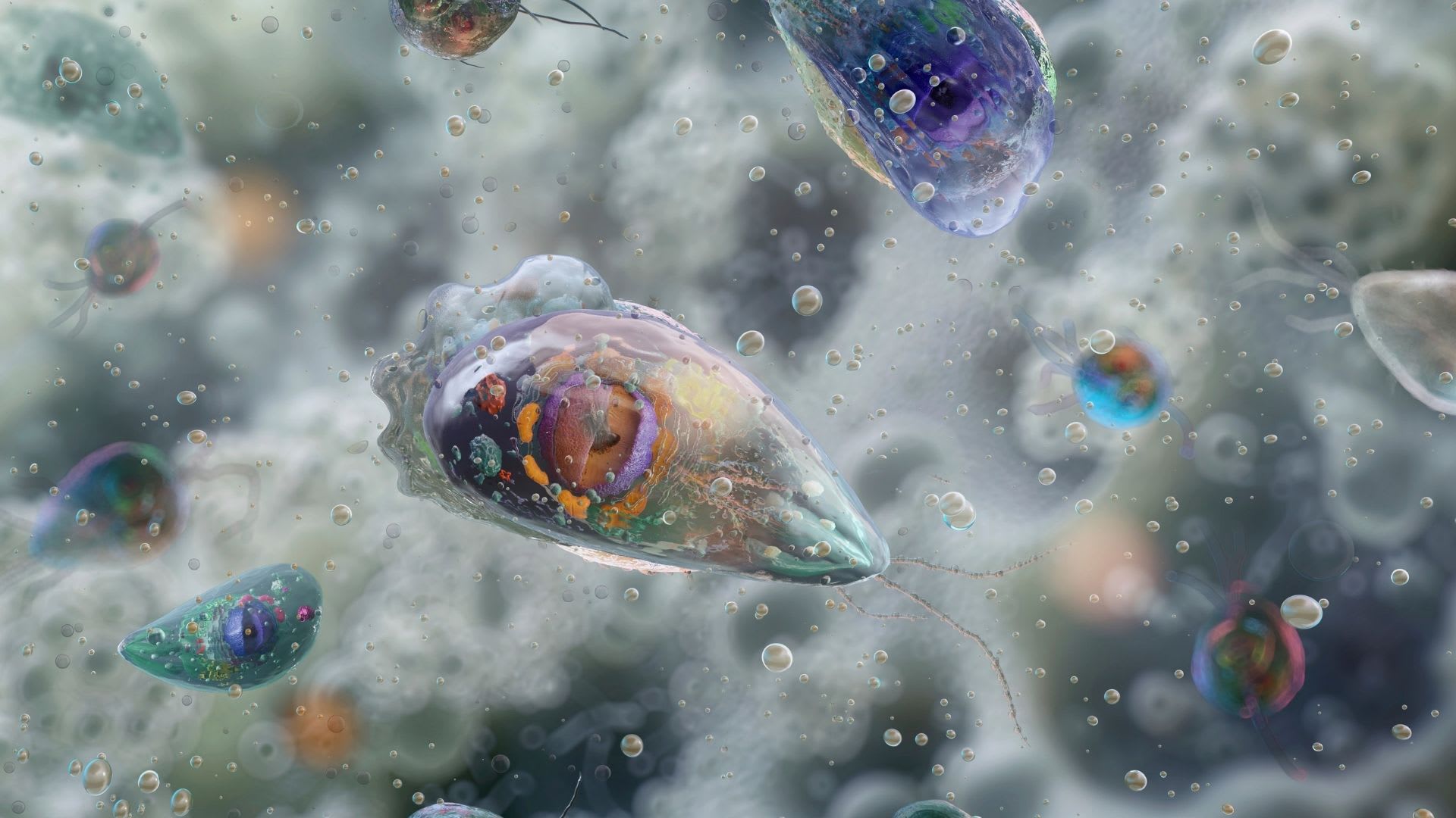 Brain-Eating Amoeba Leaves North Carolina Teen Critically Ill Days After 8-Year-Old Dies