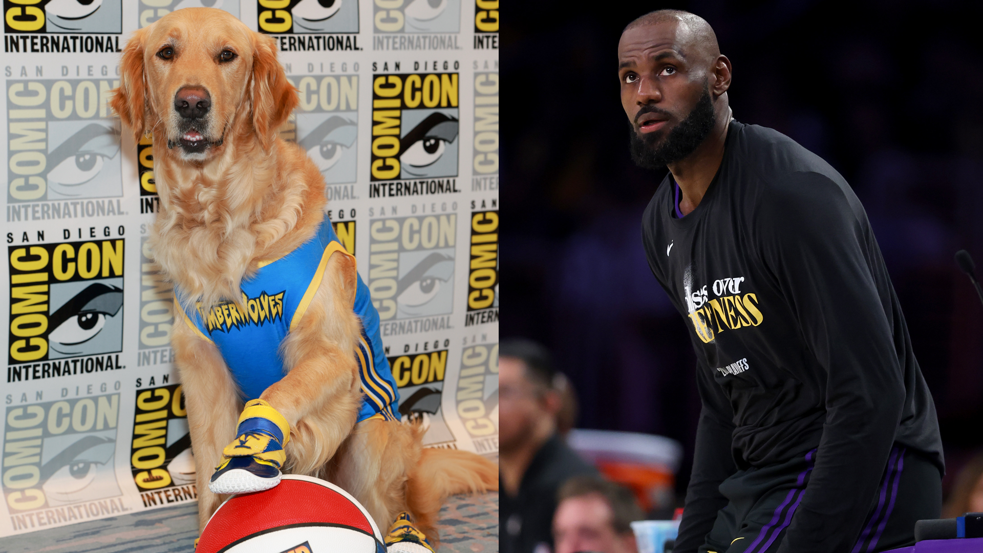 SAN DIEGO, CALIFORNIA - JULY 25: Air Bud attends the 2026 Comic-Con International: San Diego - "Air Bud" Press Line at Hilton Bayfront on July 25, 2026 in San Diego, California. 
LOS ANGELES, CALIFORNIA - MAY 11: LeBron James #23 of the Los Angeles Lakers checks in at the scorer's table against the Oklahoma City Thunder in Game Four of the Second Round of the NBA Western Conference Playoffs at Crypto.com Arena on May 11, 2026 in Los Angeles, California. 
