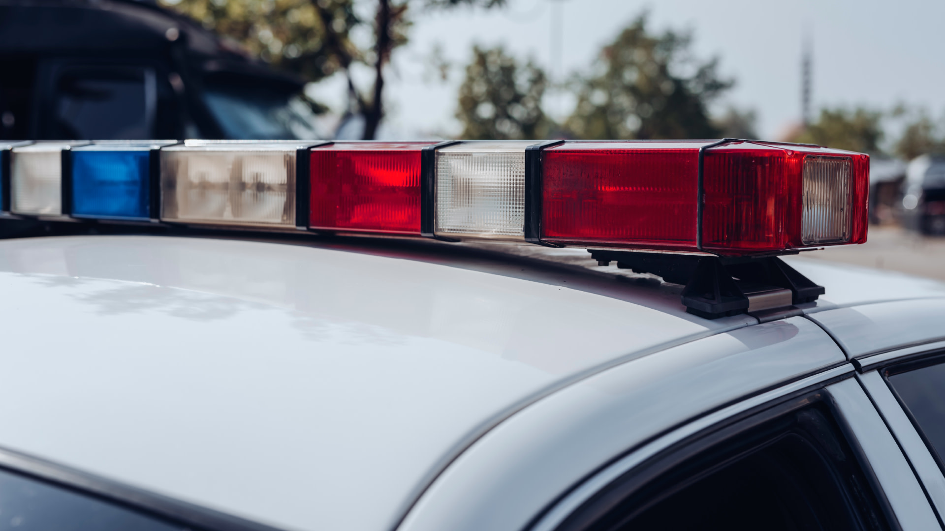 Close-up of a police car's roof with red and blue emergency lights, blurred trees in the background.