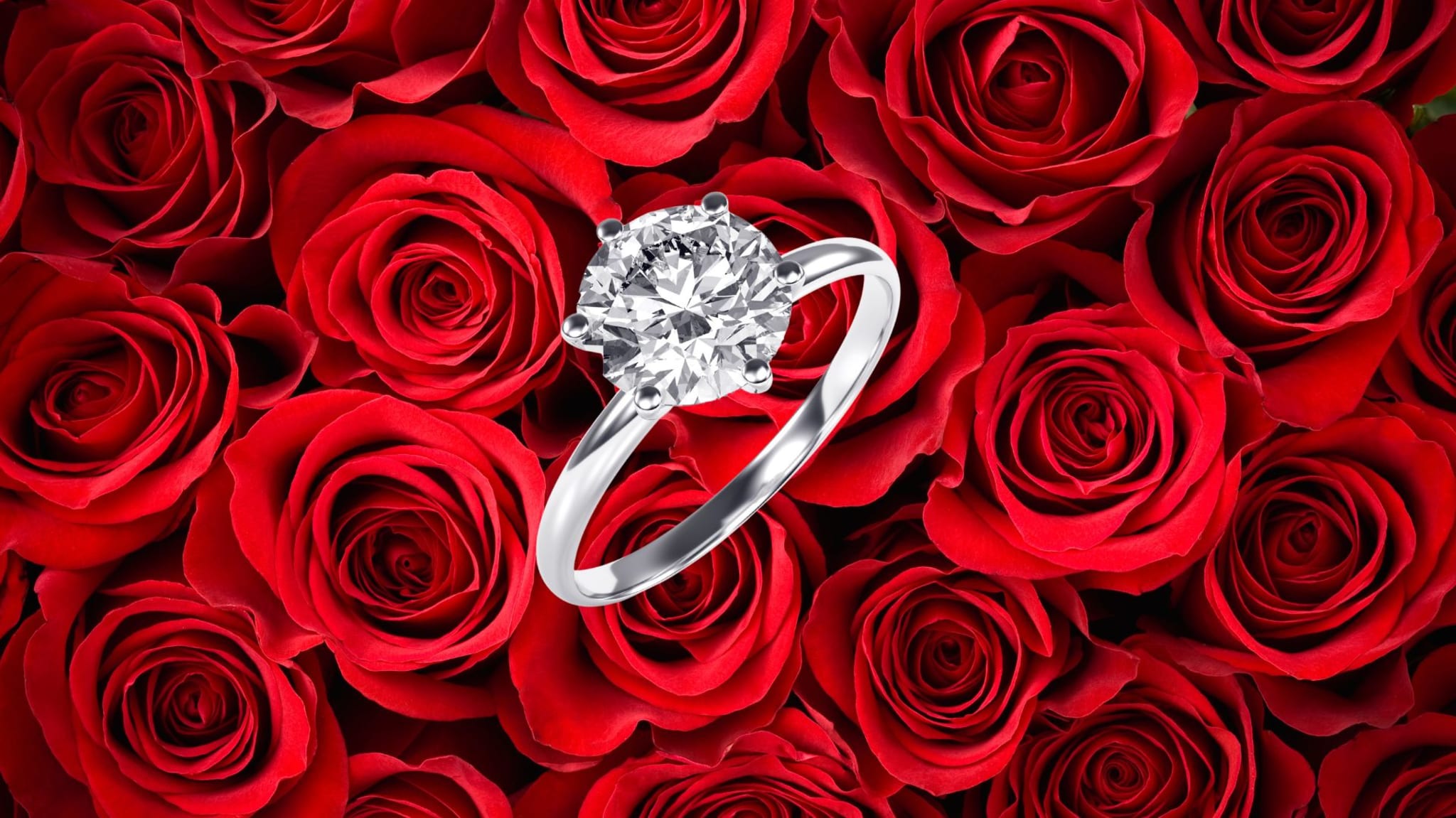 An engagement ring.