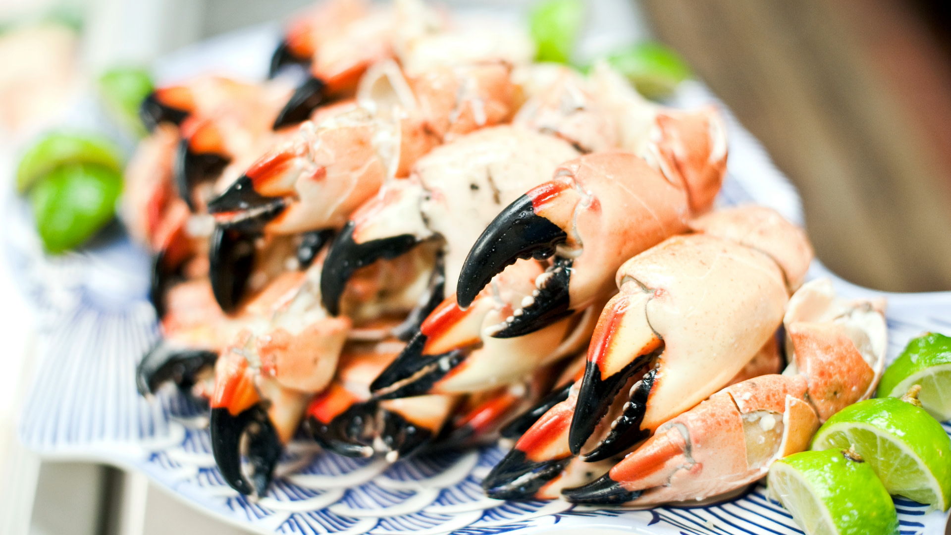 Florida Man Wins Stone Crab Eating Contest By Devouring 25 in Under 10 Minutes