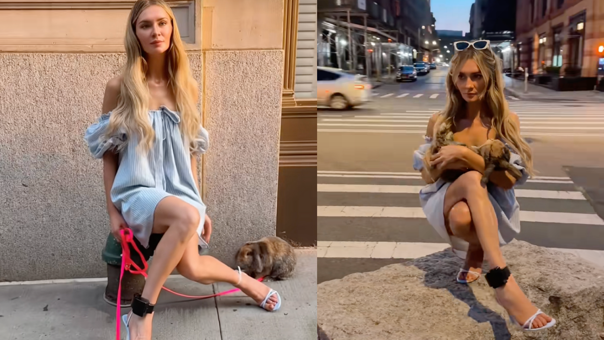 Anna Delvey Addresses Accusation She Dumped Bunnies in Park After ...