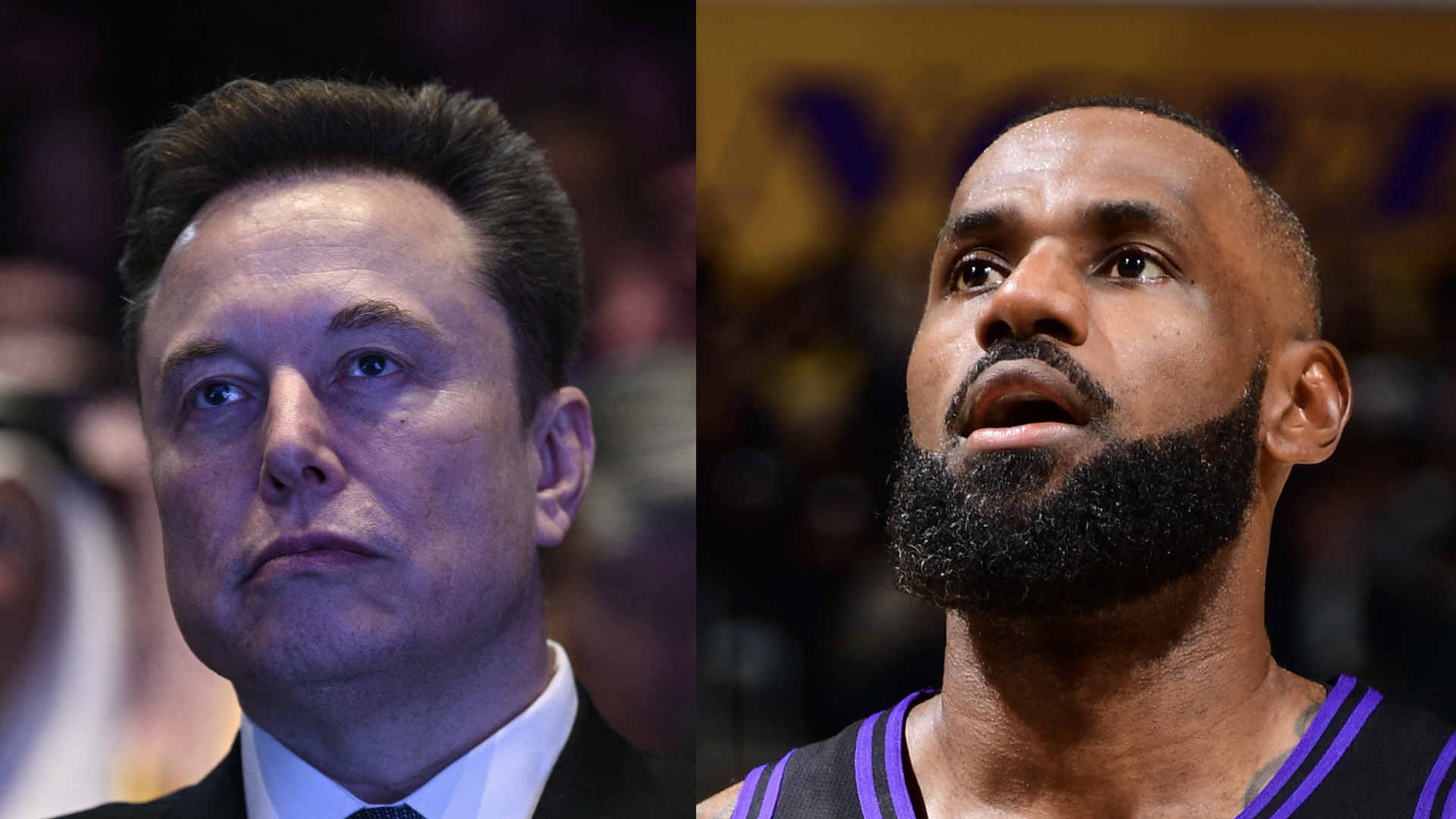 complex.com - Joshua Espinoza - X's AI Grok Argues Elon Musk Is More Fit Than LeBron Jame...