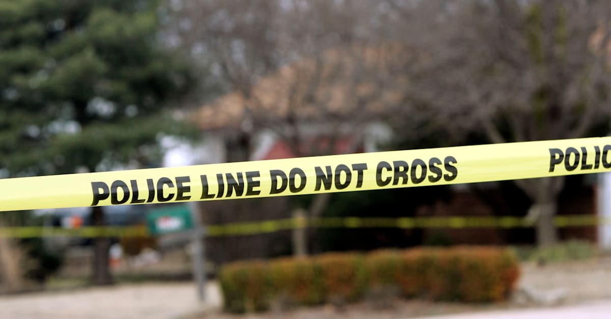Cover art for Woman Drives Truck Onto Soccer Field, Killing Two