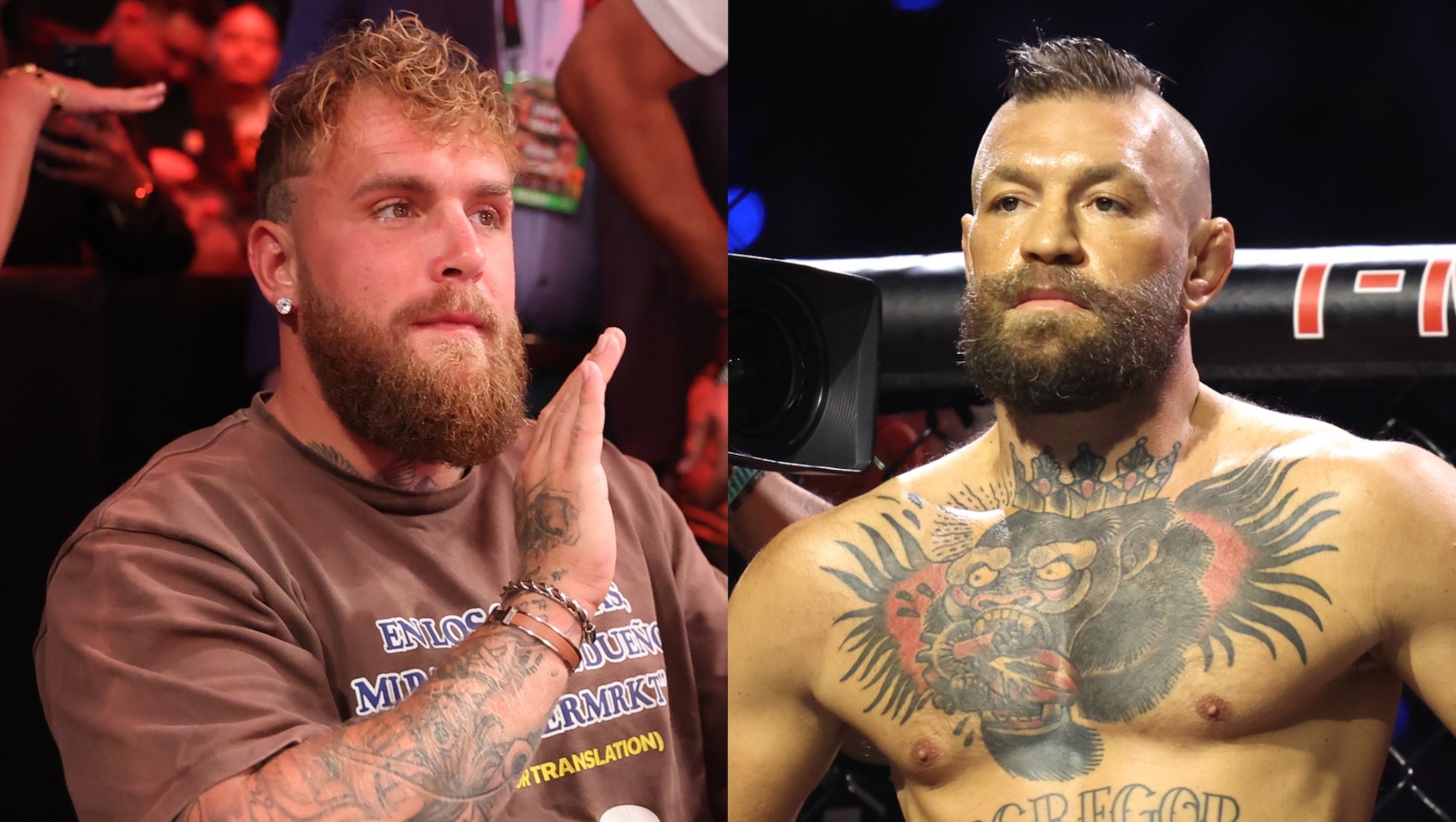 Jake Paul and Conor McGregor