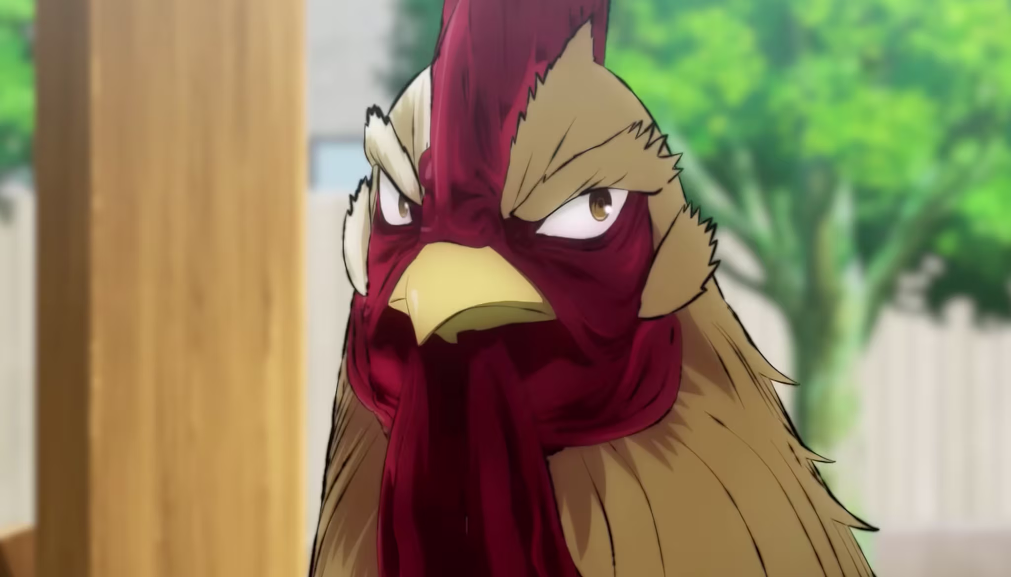 Rooster Fighter
