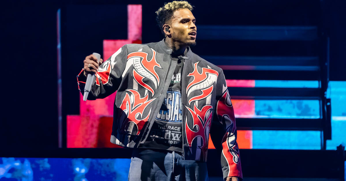 Chris Brown Wins Bid to Revisit $12.9 Million Dog Mauling Verdict, but There's a Catch