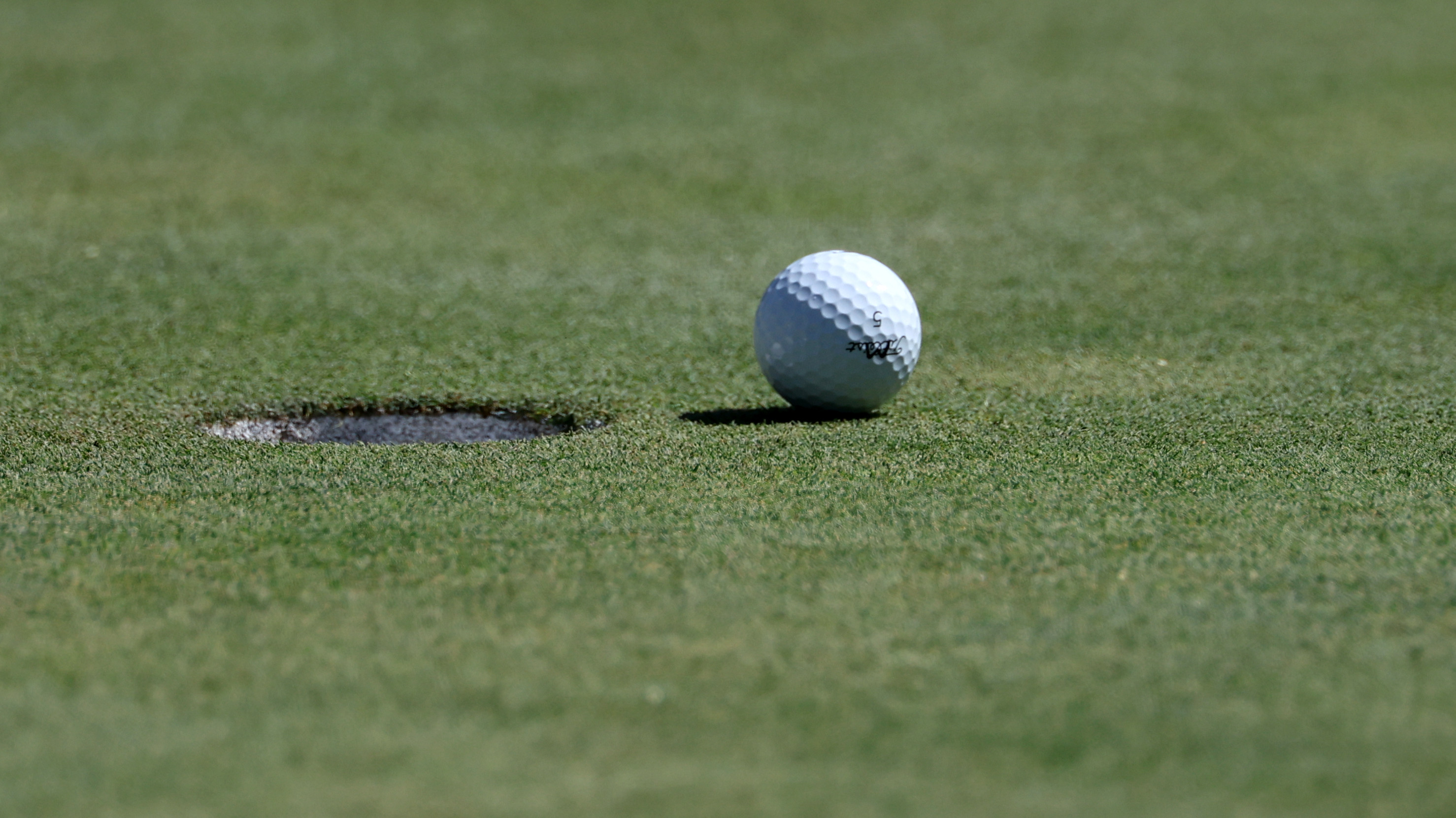 Canadian Tourist Giovanni Robinson Shot and Killed on Wisconsin Golf Trip