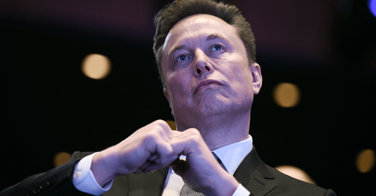 Ashley St. Clair Claims Elon Musk Wanted a Legion of Children Before Civil War