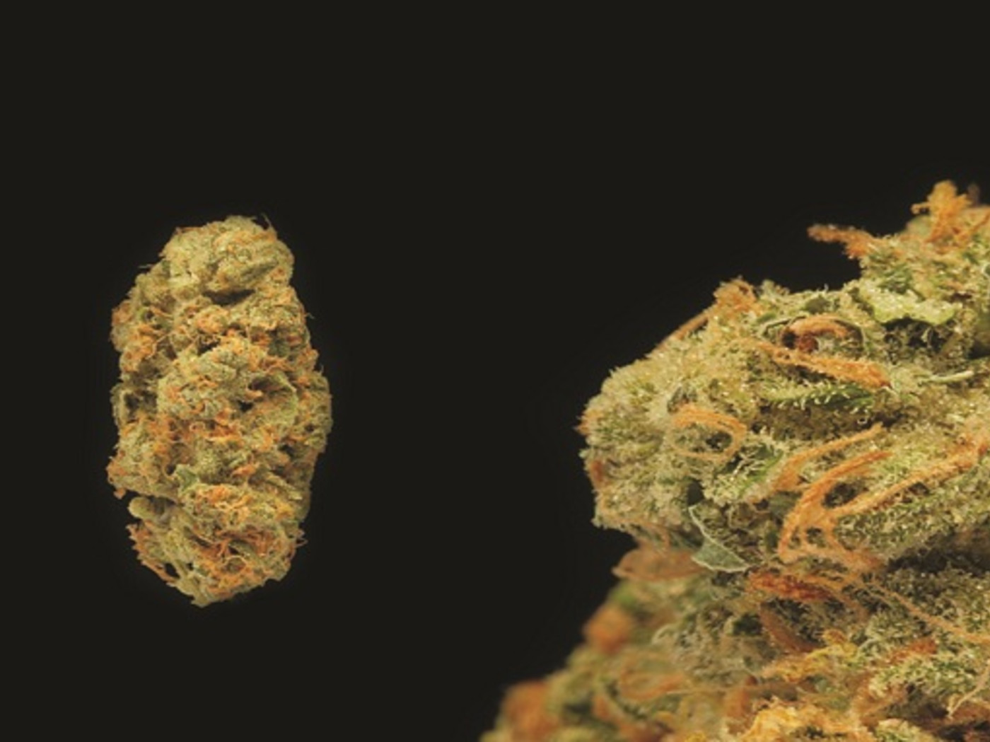 Best Weed Strains To Smoke Right Now Complex