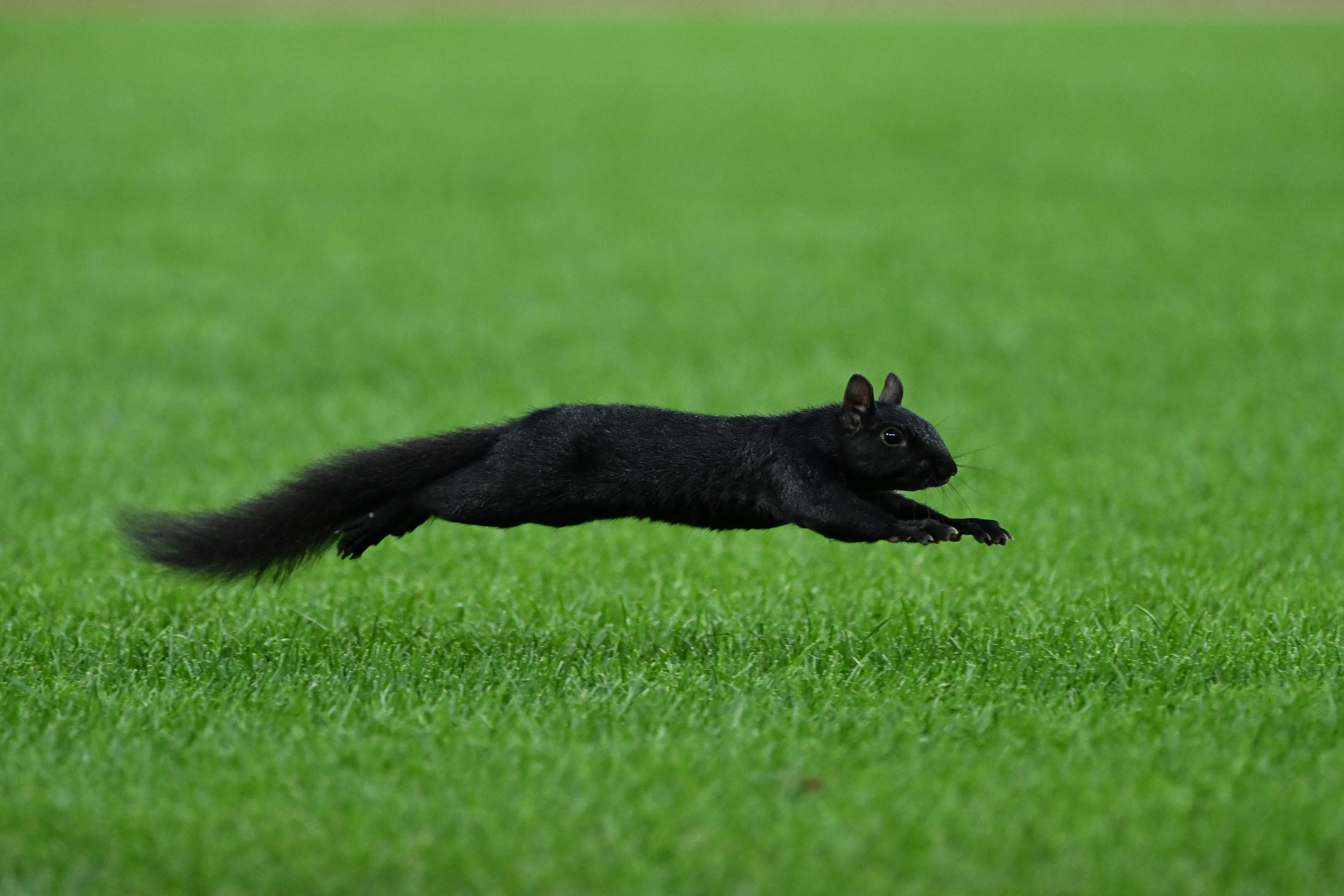 MLB: JUL 27 Orioles at Tigers
