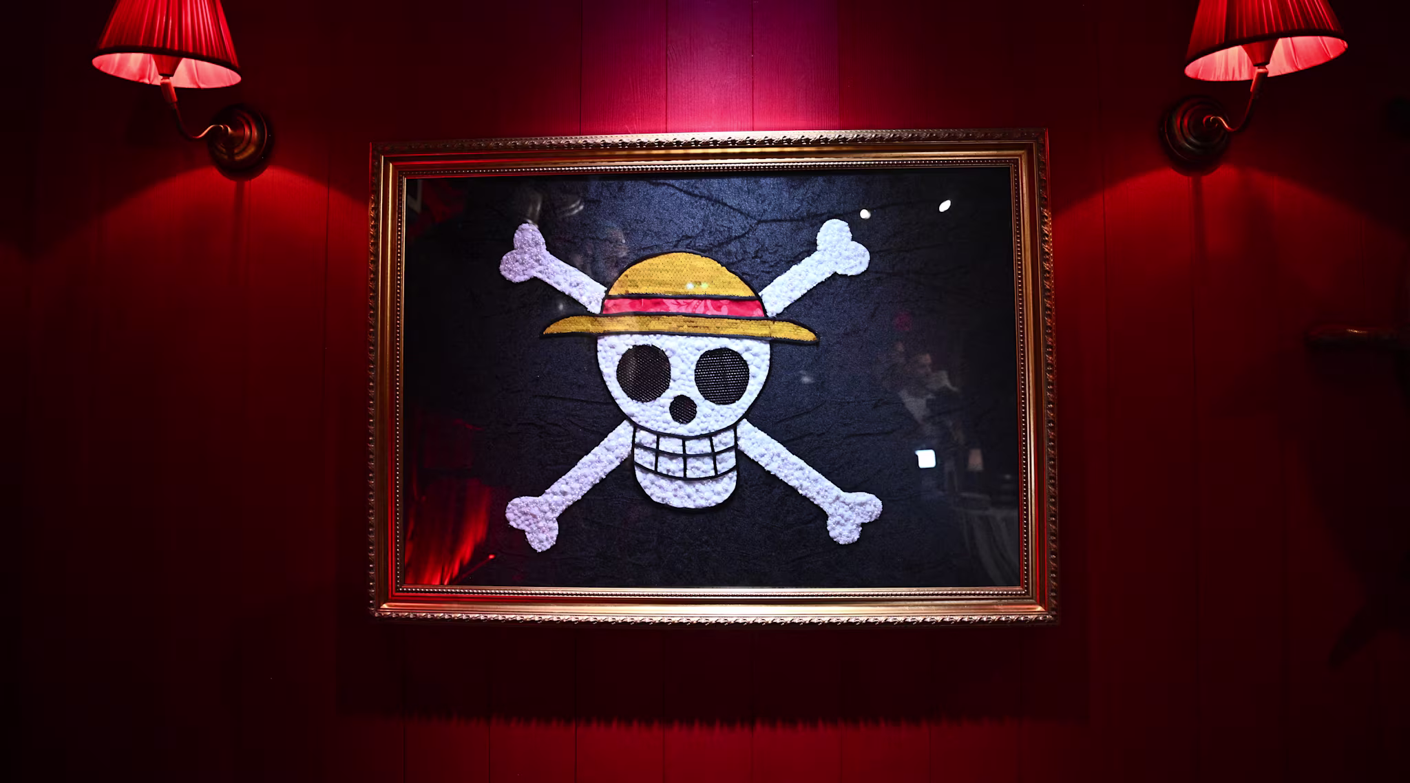 One Piece anime