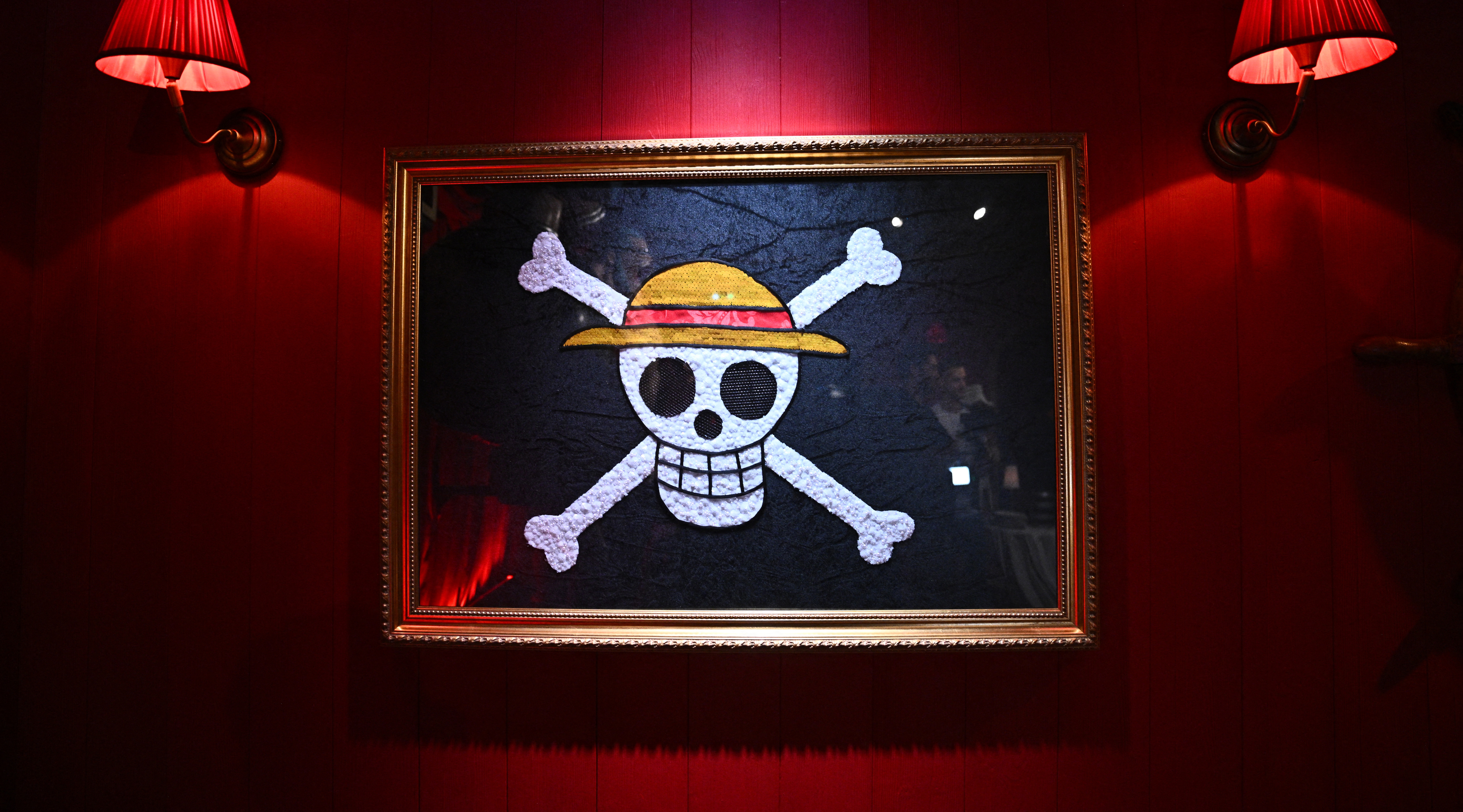 One Piece anime