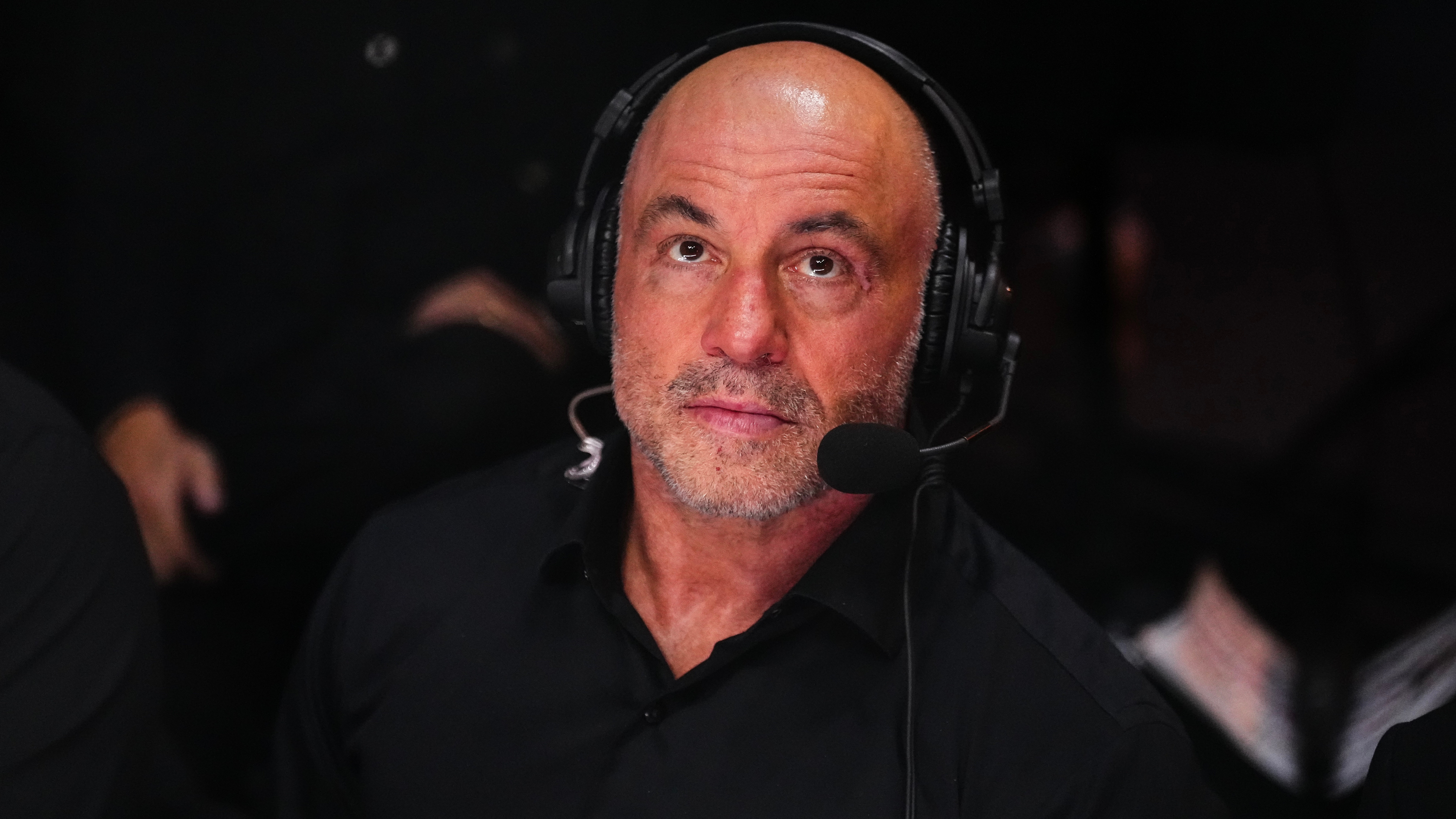 Joe Rogan Blasts Trump Administration’s Immigration Enforcement Tactics