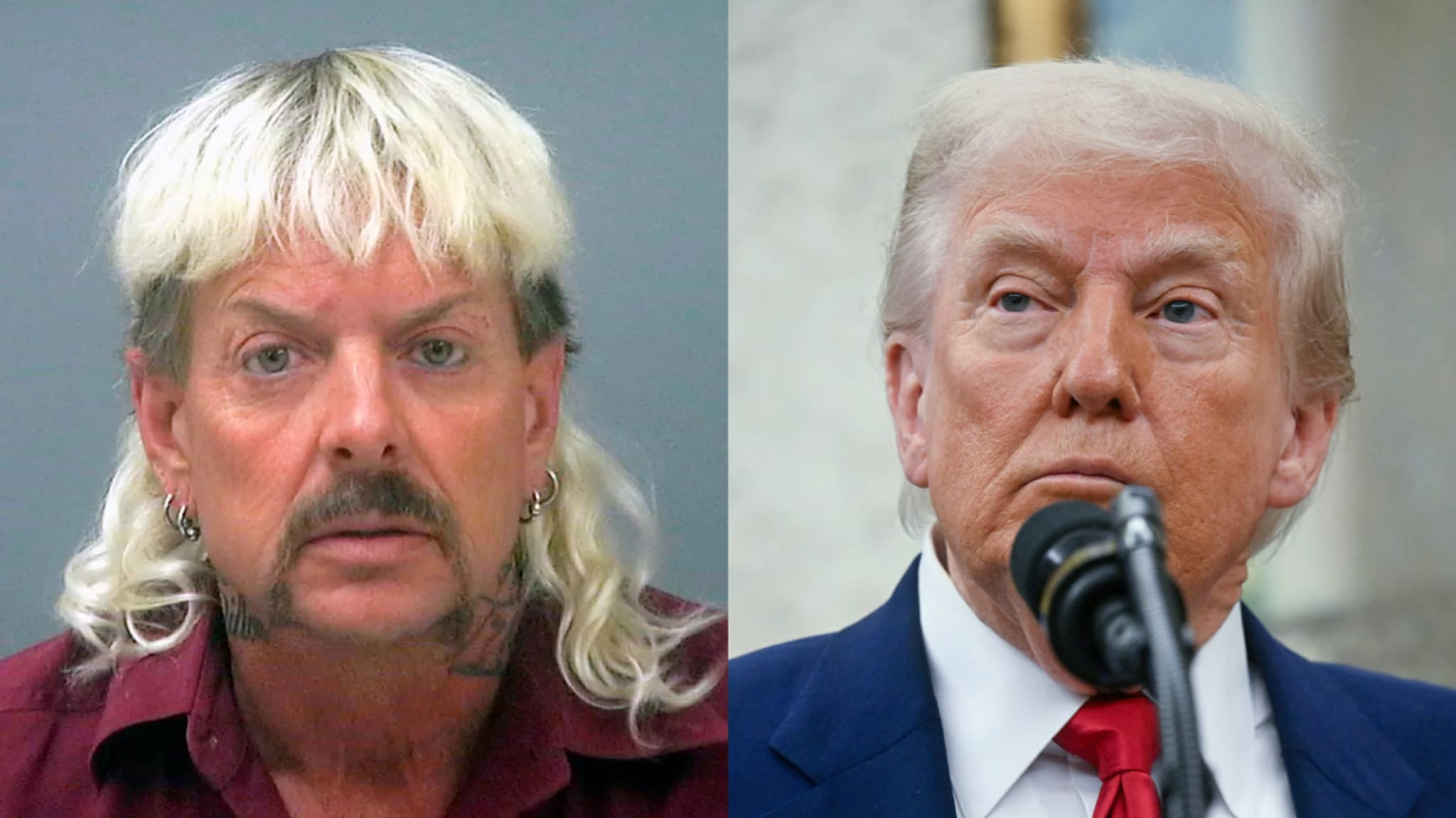 Two side-by-side images: Joe Exotic with a mullet and earrings on the left, and Donald Trump speaking at a microphone on the right.