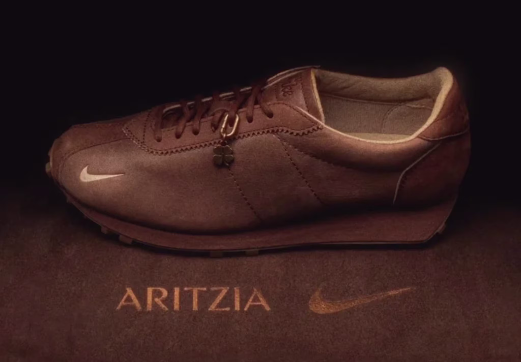 Aritzia x Nike