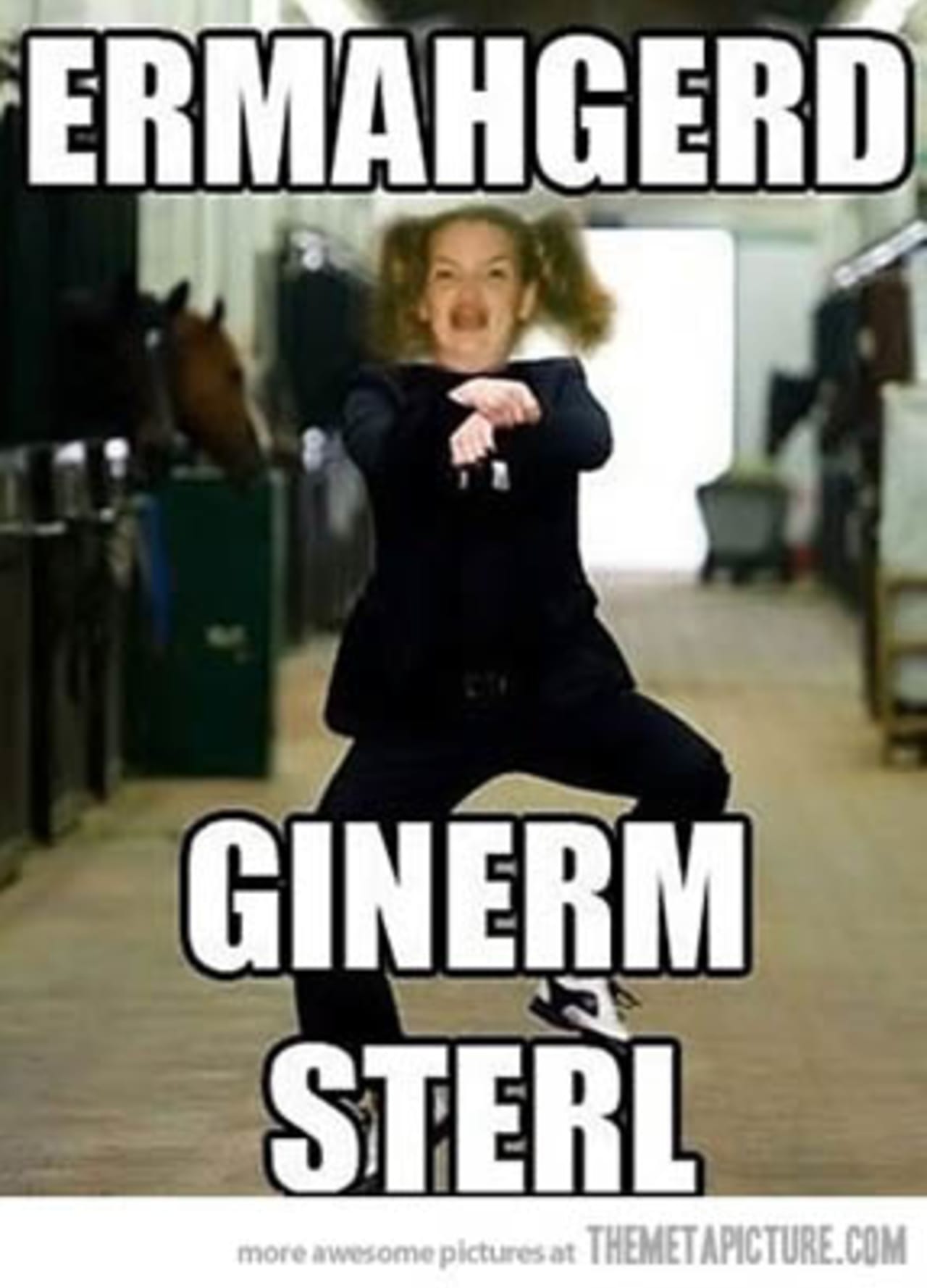 The Funniest Ermahgerd Memes Complex