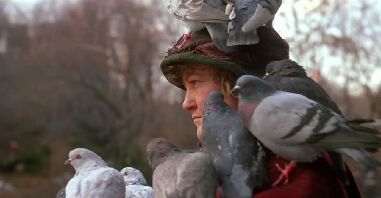 Home Alone Pigeon Lady Says She S Going To Have Lonely Dark Holiday Complex