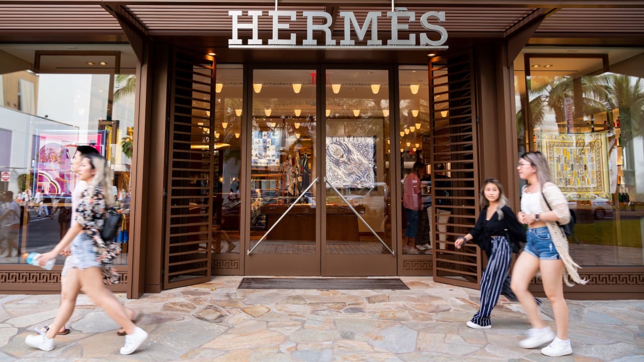 hermes bag mushroom