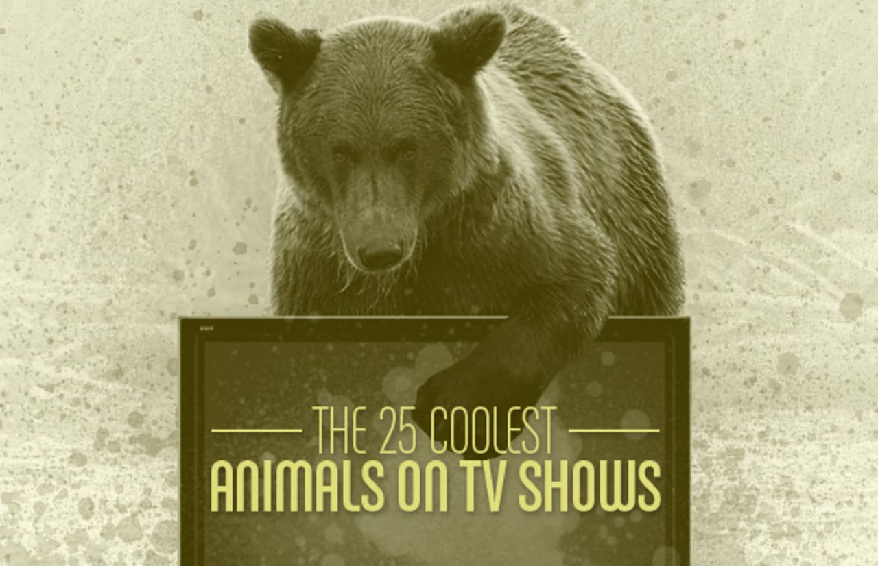 The 25 Coolest Animals On Tv Shows Complex